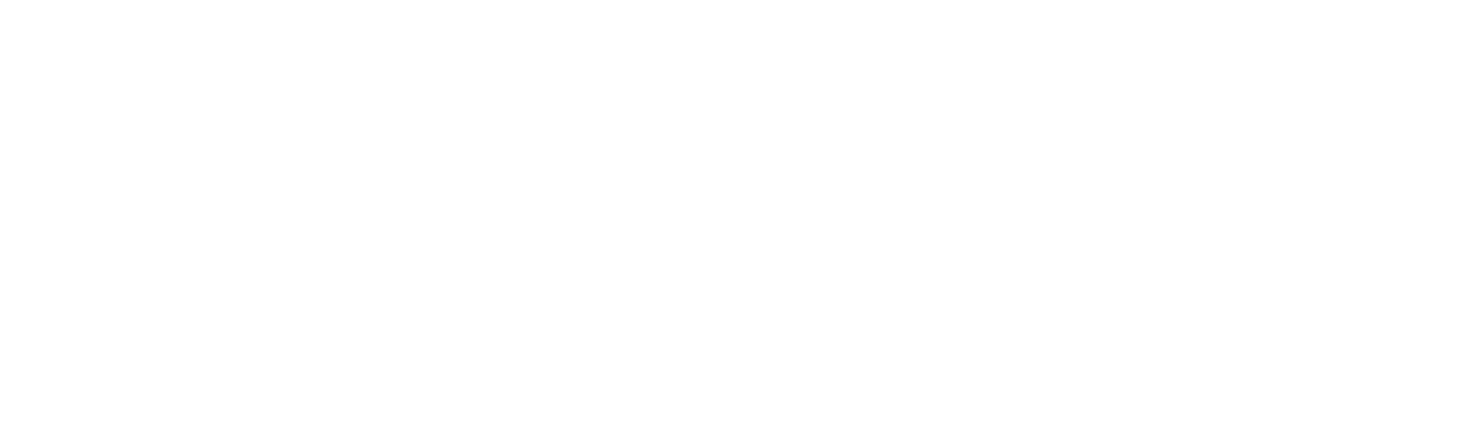 Helgesen Brannvern 365